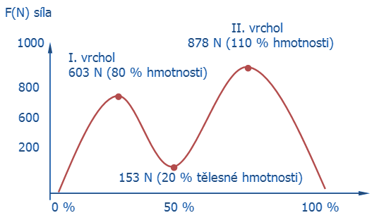 Průběh silového zatížení lyže při odrazu 