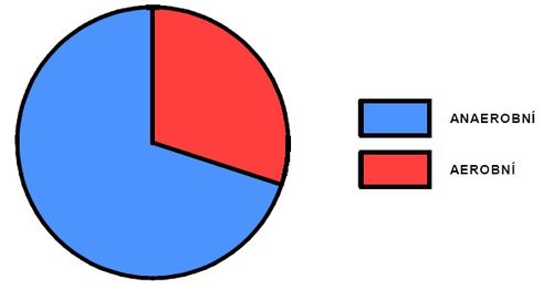 Podíl aerobního a anaerobního krytí během výkonu