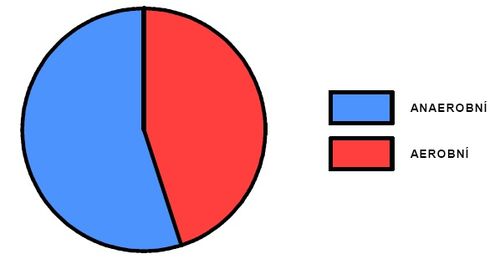 Podíl aerobního a anaerobního krytí během výkonu - sjezd (upraveno dle Vránová, 1993).