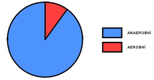 Podíl aerobního a anaerobního krytí během výkonu na 200m