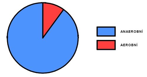 Podíl aerobního a anaerobního krytí během výkonu