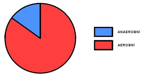 Podíl aerobního a anaerobního krytí během výkonu na 10 km (upraveno dle Heller, 1993).