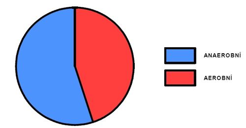 Podíl aerobního a anaerobního krytí během sprinterského výkonu.