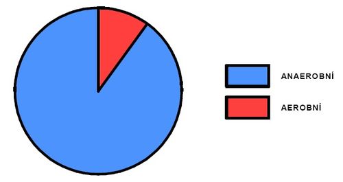 Podíl aerobního a anaerobního krytí během sprinterského