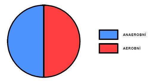Podíl aerobního a anaerobního krytí během sprinterského výkonu