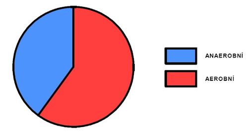 Podíl aerobního a anaerobního krytí během výkonu ve společných skladbách.