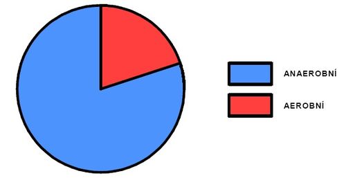 Podíl aerobního a anaerobního krytí během výkonu na 500m (upraveno dle Sharkey 1986).