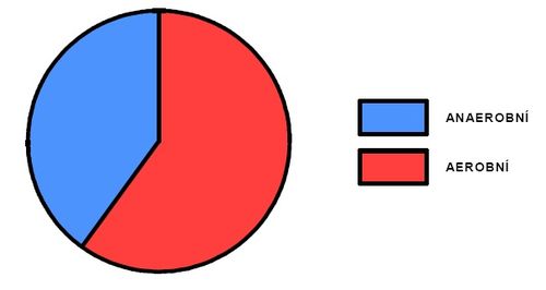 Podíl aerobního a anaerobního krytí během výkonu na 5km (upraveno dle Sharkey 1986)