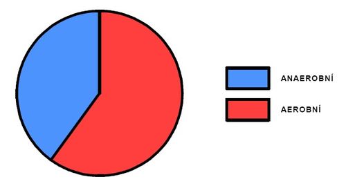 Podíl aerobního a anaerobního krytí během výkonu na 1km (upraveno dle Sharkey, 1986).