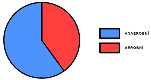 Podíl aerobního a anaerobního krytí během výkonu na 500m
