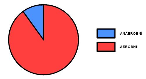 Podíl aerobního a anaerobního krytí během výkonu (upraveno dle Sharkey 1986).