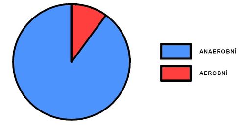 Podíl aerobního a anaerobního krytí během výkonu (upraveno dle Sharkey 1986).