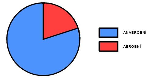 Podíl aerobního a anaerobního krytí během výkonu v ostatních disciplínách (upraveno dle Sharkey 1986).