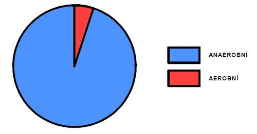 Podíl aerobního a anaerobního krytí během přeskoku