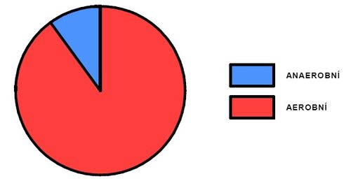 Podíl aerobního a anaerobního krytí během výkonu (upraveno dle Formánek-Hořic 2003).