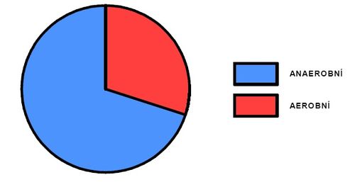 Podíl aerobního a anaerobního krytí během výkonu (upraveno dle Sharkey 1986).