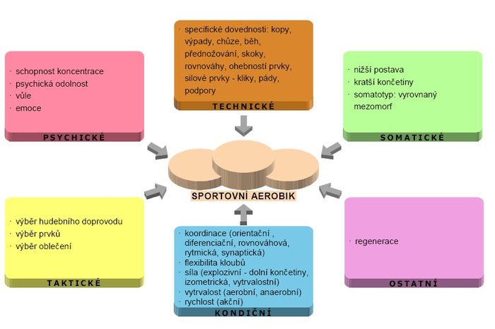 Faktory sportovního výkonu – sportovní aerobik