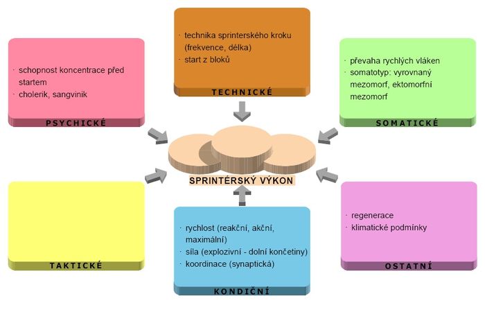 faktory sportovniho vykonu