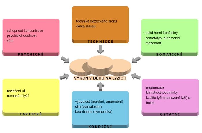 Faktory sportovního výkonu – běžecké lyžování.