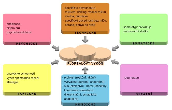 Faktory sportovního výkonu –florbal