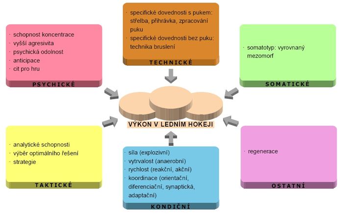 Faktory sportovního výkonu – lední hokej.