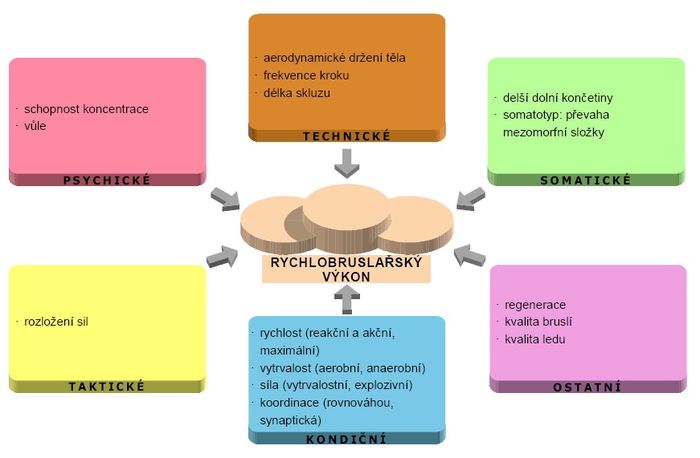 Faktory sportovního výkonu – rychlobruslení.