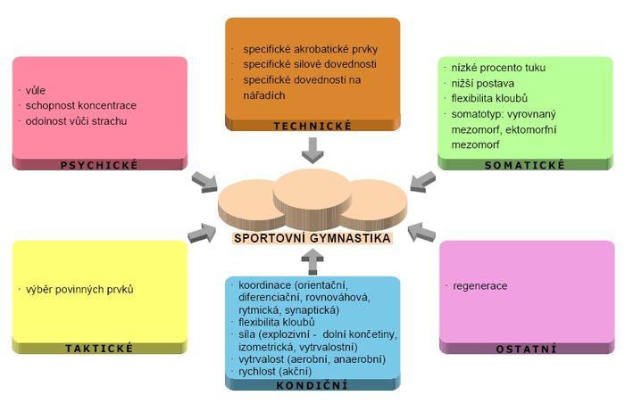 Faktory sportovního výkonu – sportovní gymnastika.