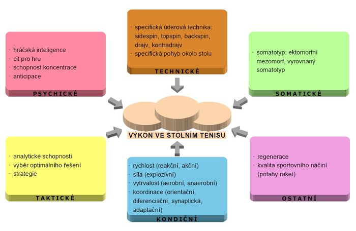 Faktory sportovního výkonu – stolní tenis.