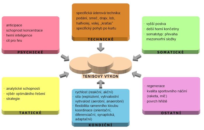 Faktory sportovního výkonu – tenis