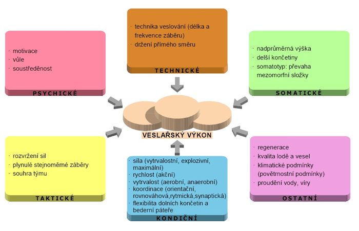 Faktory sportovního výkonu – veslování.