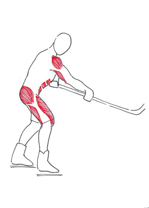 Nejvíce zatěžované svaly v ledním hokeji.