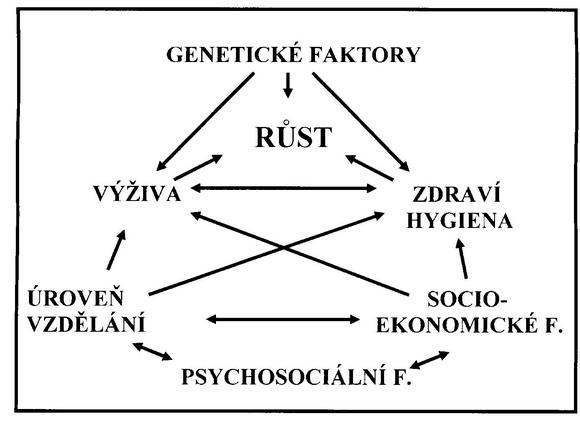 Faktory ovlivňující růst (Novotný 2003).