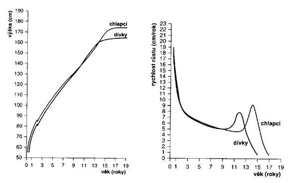 Růstová rychlost (Lebl a Krásničanová 1996).