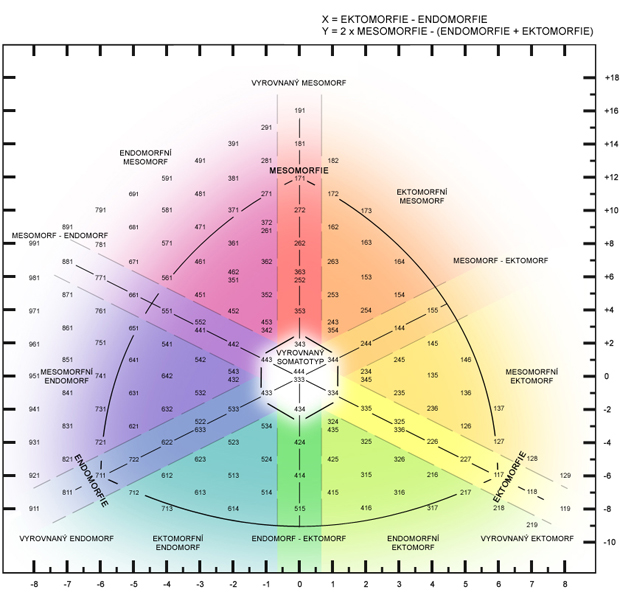 Obr. D05: Diagram somatotypu