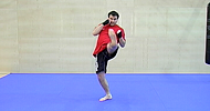 Front kick