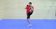 Roundhouse kick (P), front kick (P), jab, punch, zvedák (P), hák (Z)