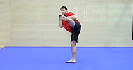 Roundhouse kick (P), front kick (P), jab, punch, zvedák (P), hák (Z) – pomalu