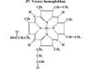 Vzorec hemoglobinu