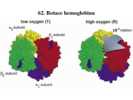 Rotace hemoglobinu