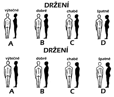 Obr. 2 Hodnocení držení těla dle Kleina, Thomase a Mayera (Haladová, Nechvátalová, 1997)