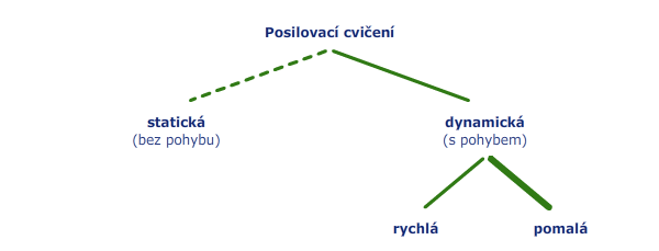 Typy posilovacích cvičení