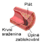 Tematický obrázek