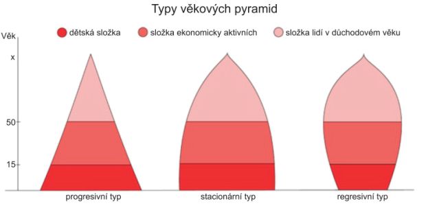 Typy věkových pyramid