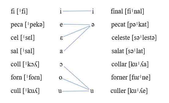 schema