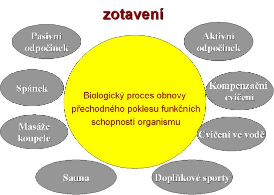 Možnosti zotavení – regenerace sil ve sportu