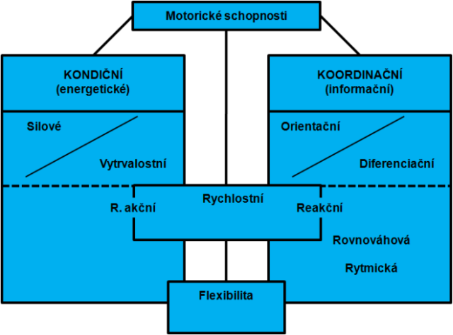 Hrubá taxonomie motorických schopností