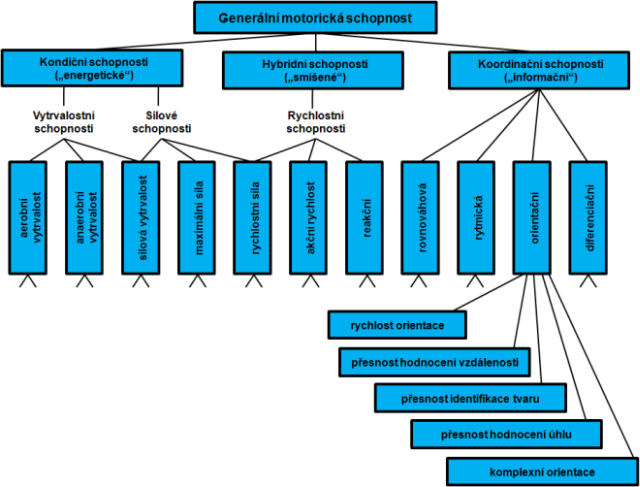 Hierarchické uspořádání motorických schopností 