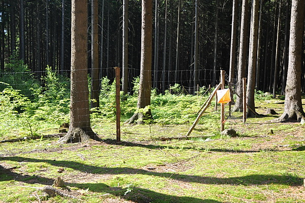 Vysoký plot