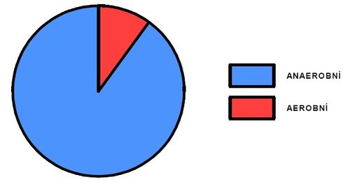 Podíl aerobního a anaerobního krytí během výkonu (míč ve hře)