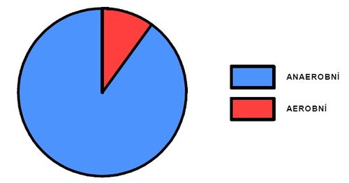 Podíl aerobního a anaerobního krytí během výkonu.